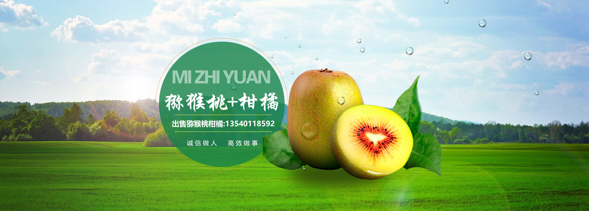 内页banner图